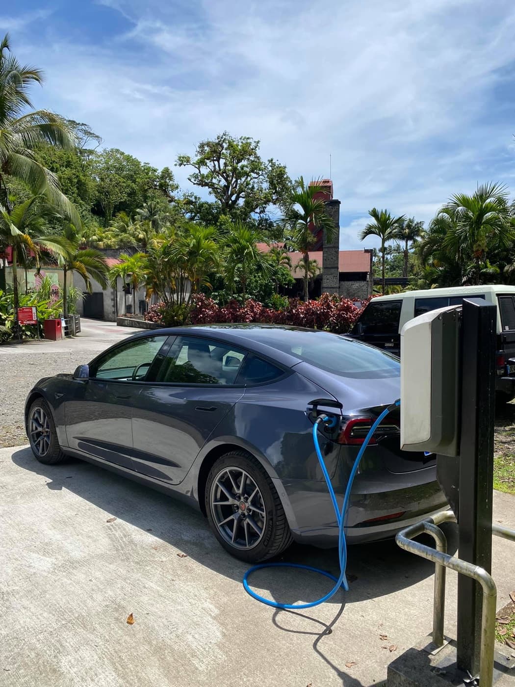 Véhicule électrique Tesla branché à une borne EZdrive sous palmiers tropicaux